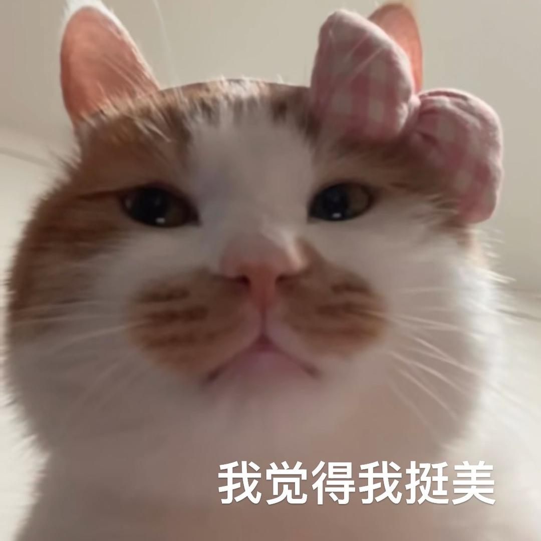 不困