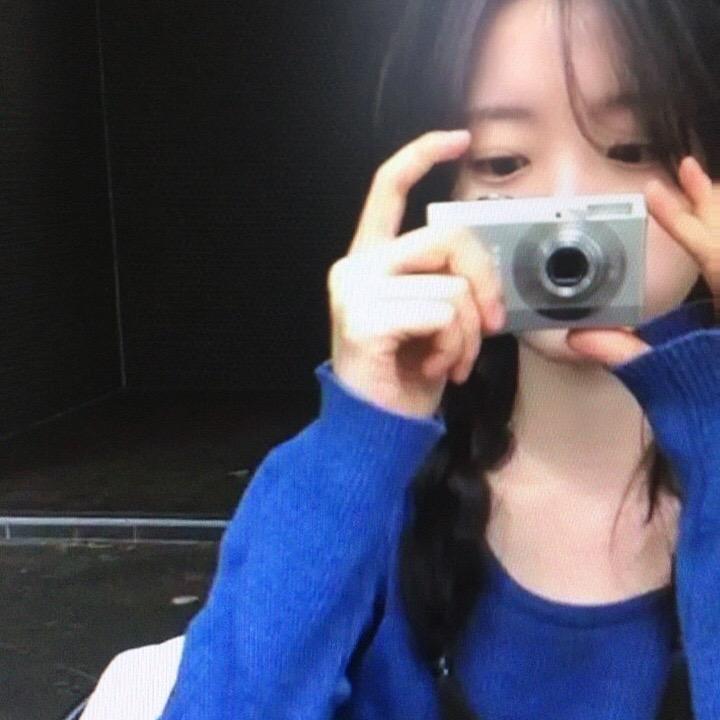 呆瓜不会飞