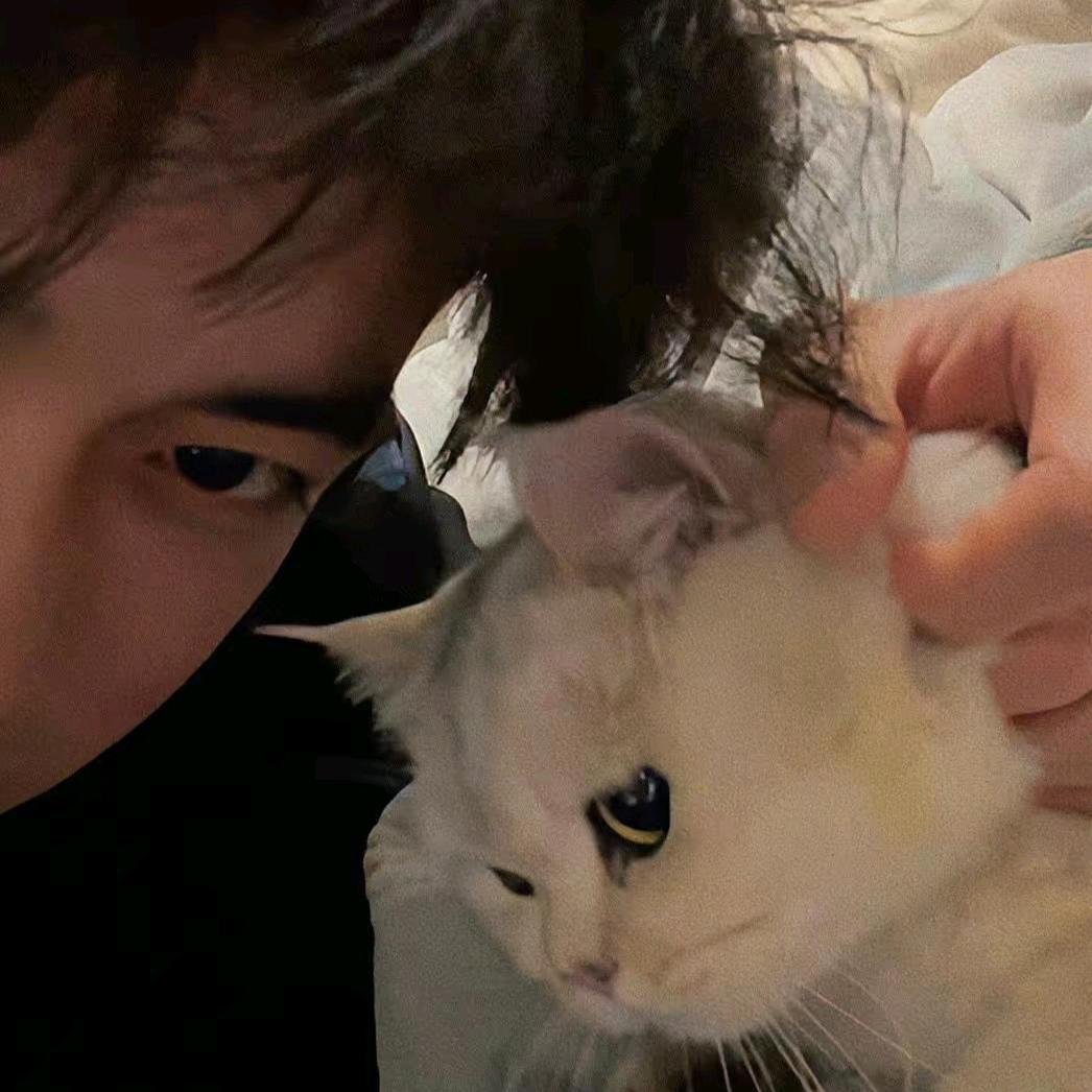 Kevin杨