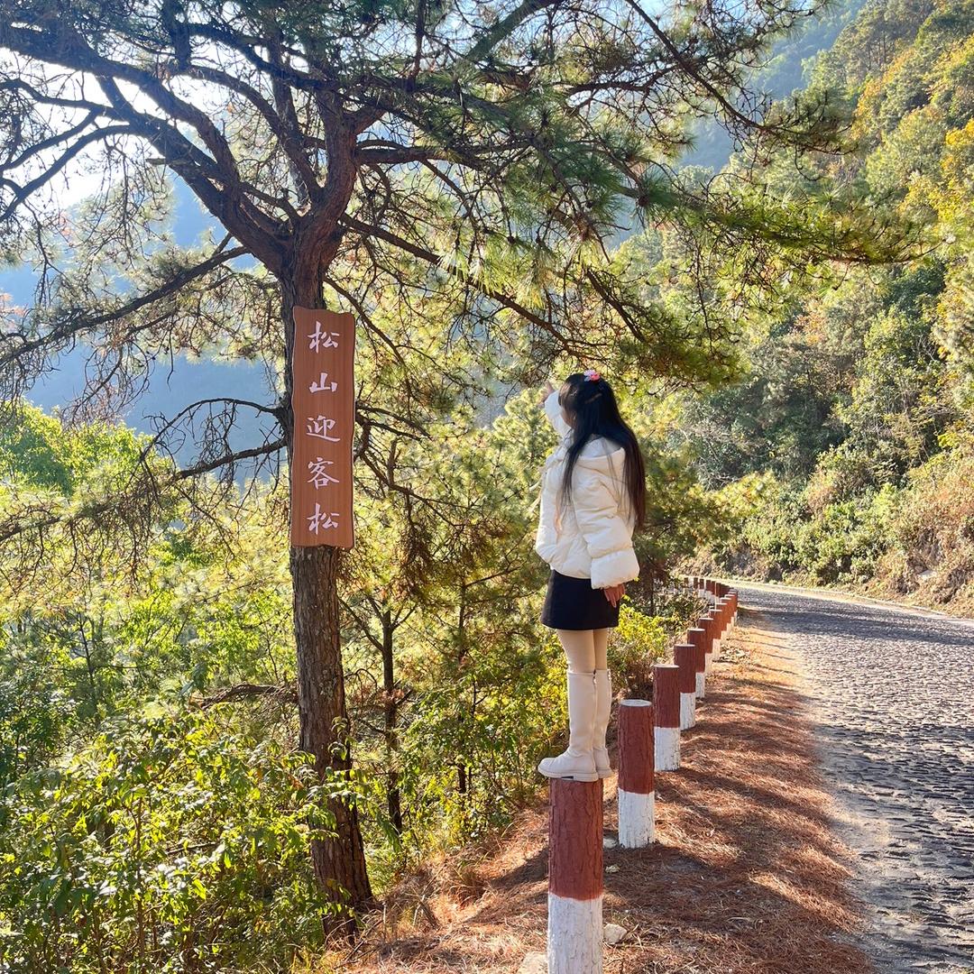 @松山⛰️⛰️石姑娘