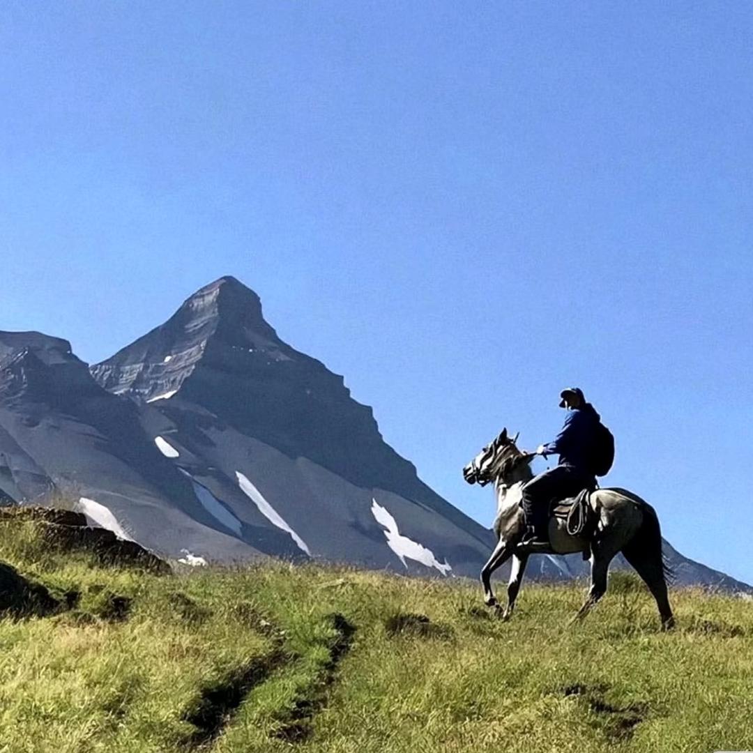 🇨🇳上海～韩