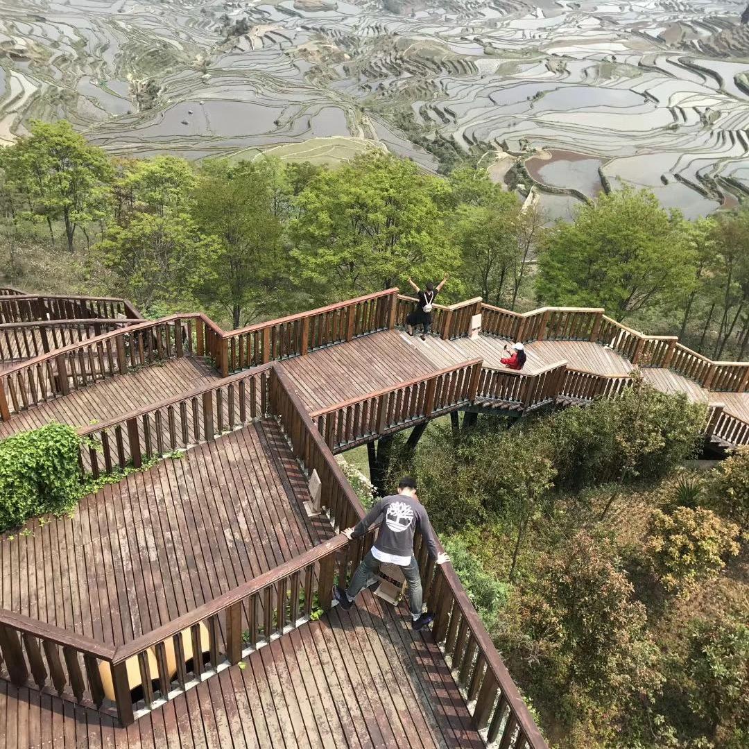 槀茐