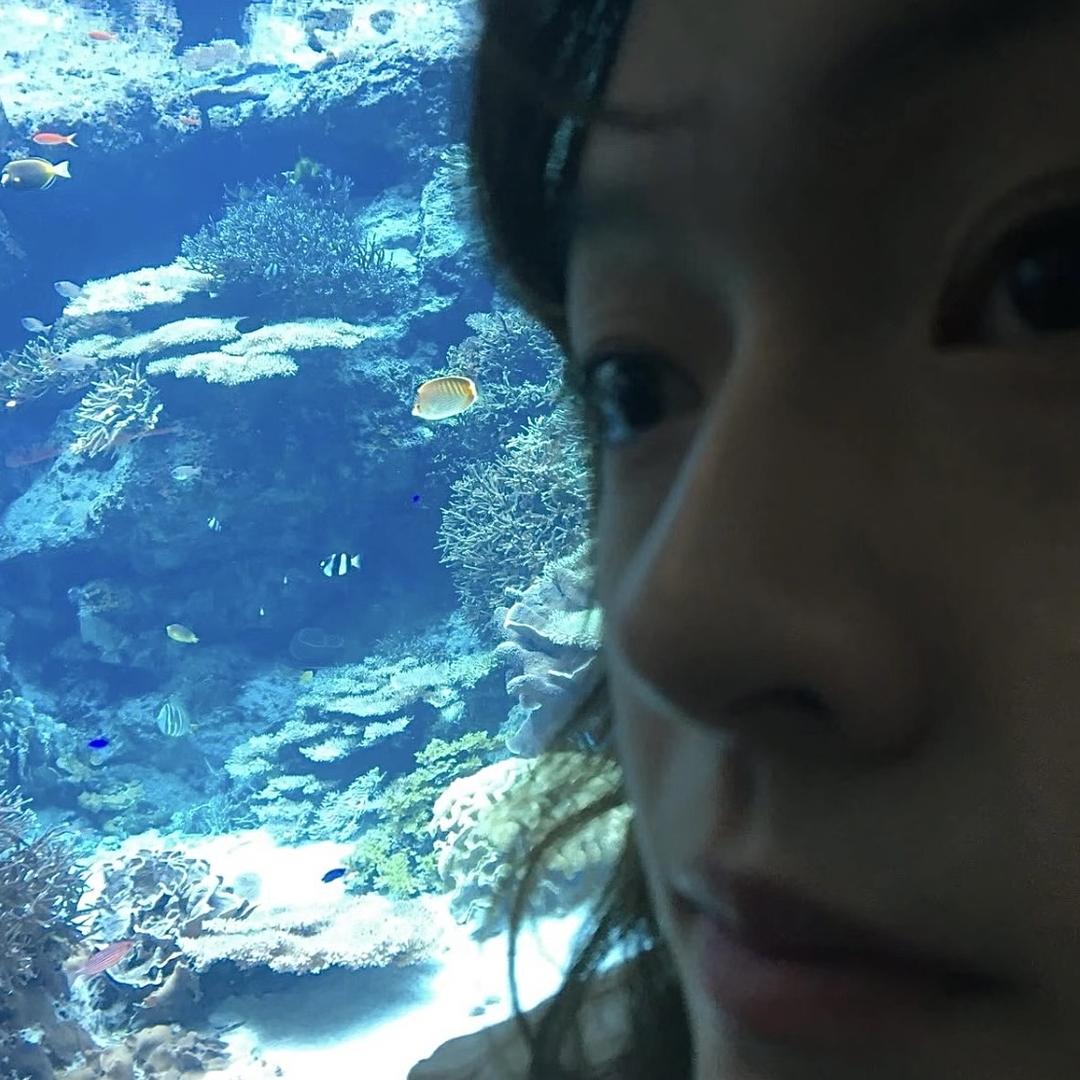四维里的硅