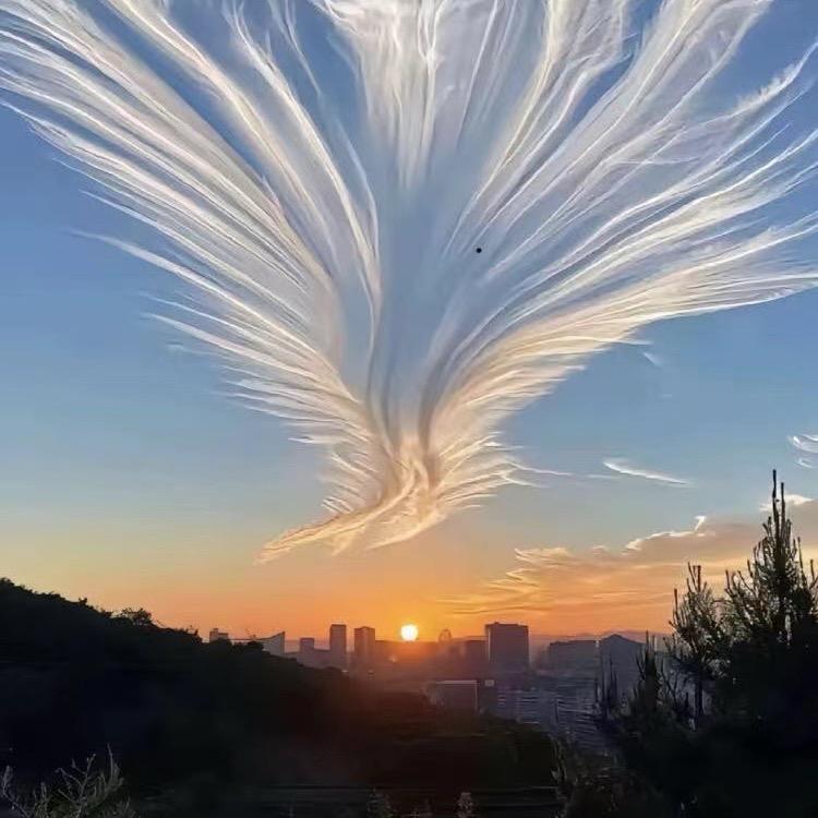 彬良
