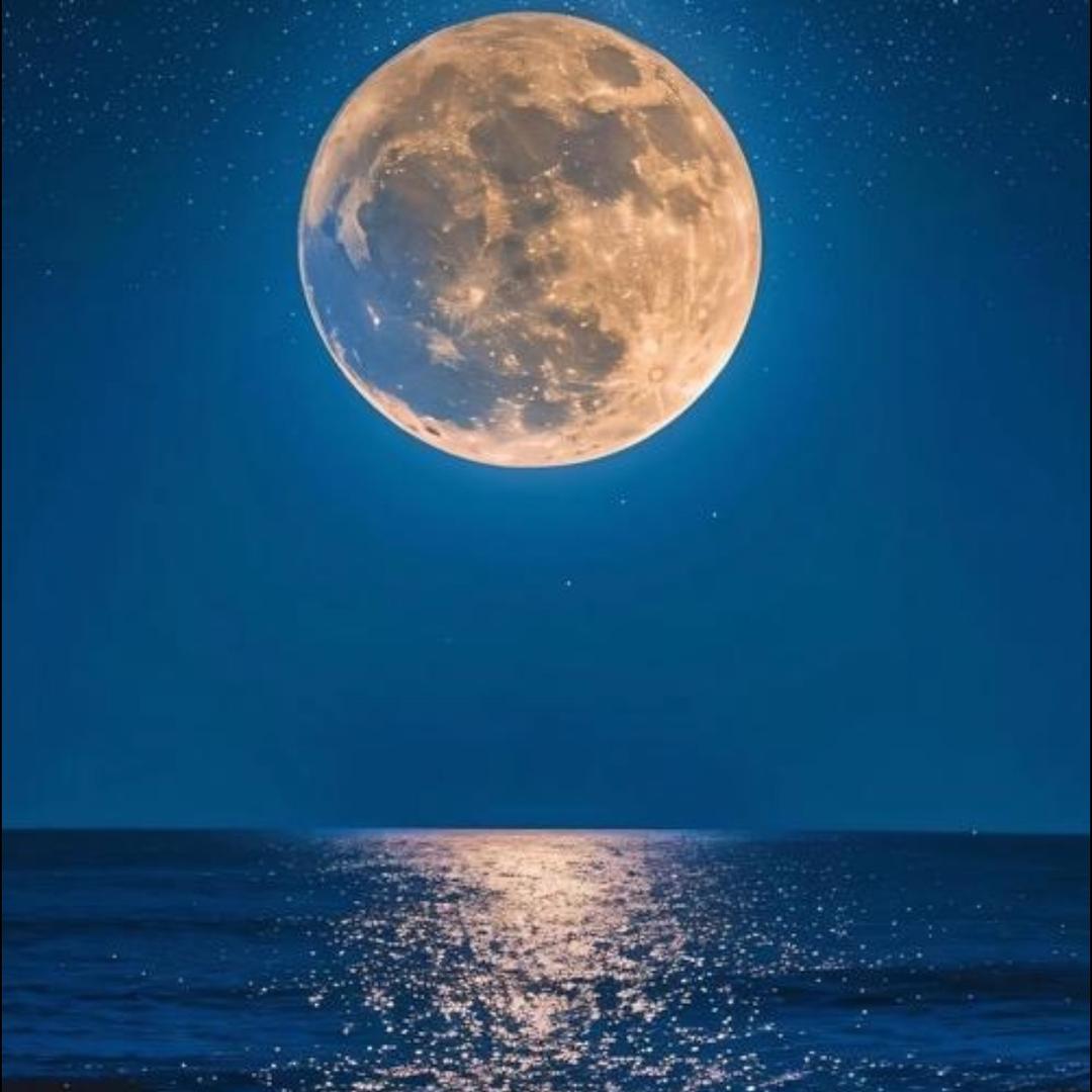 Love❤️you. Kill🔪me