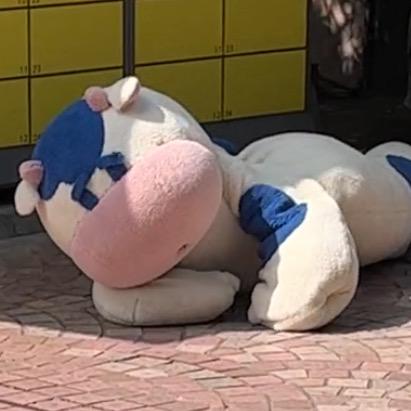 随小订喝牛奶🥛