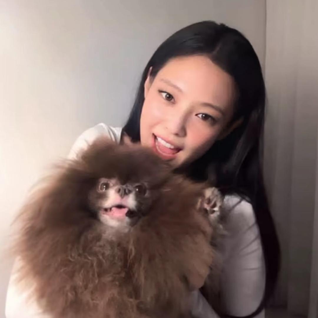 Yu诺2