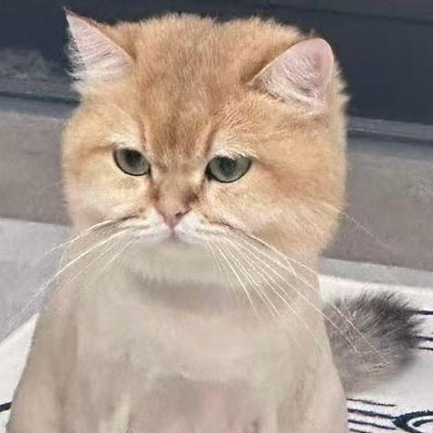 摩羯