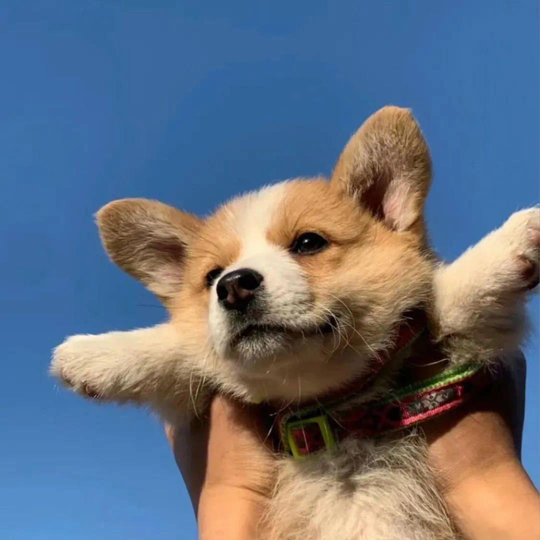 ?