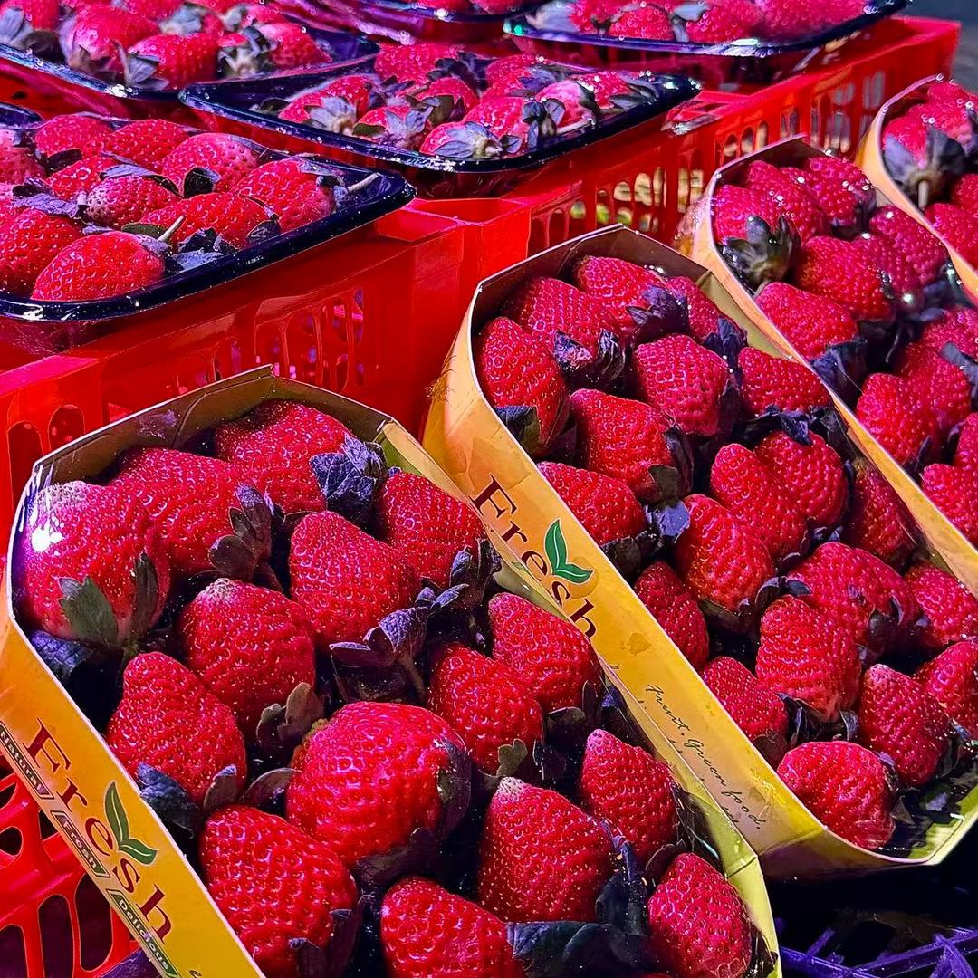 橙心橙意🍇🍓🍎🍐🍊