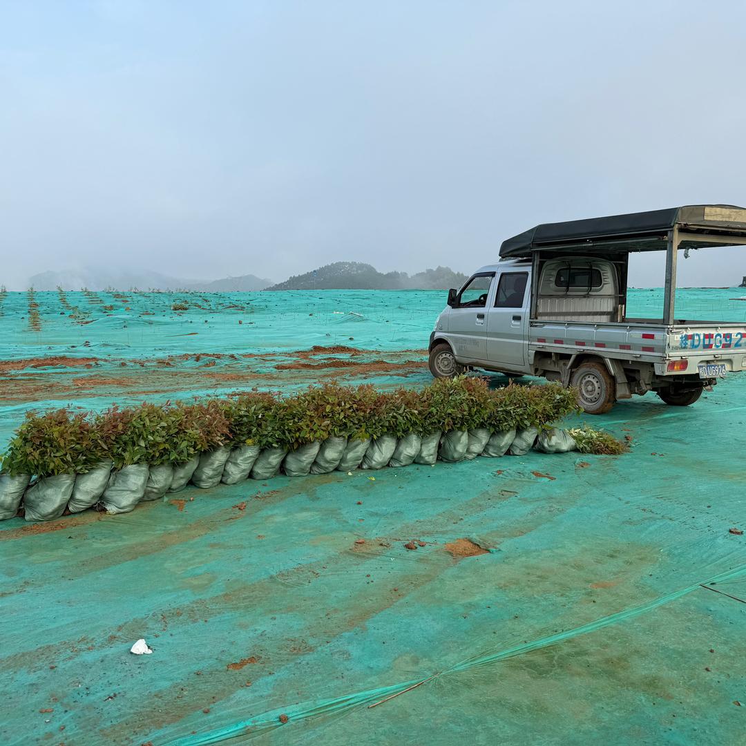 蝴蝶谷苗圃场