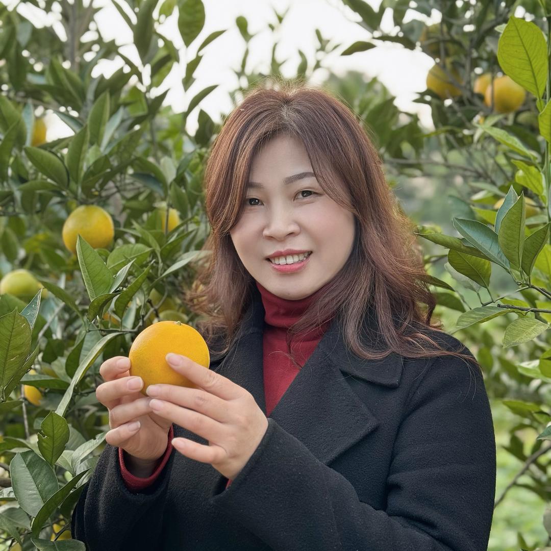 合川丽姐（小阿姨团队）