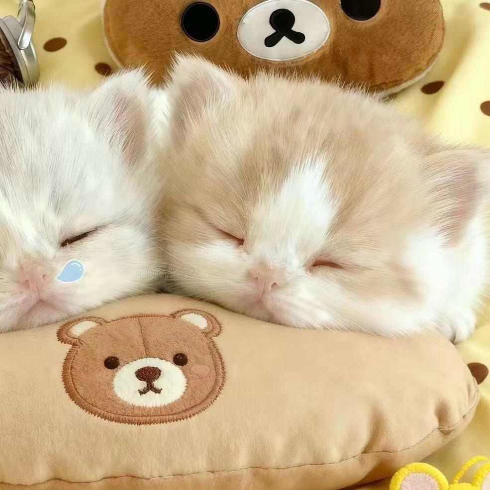 咖哩哩哩哩哩哩哩