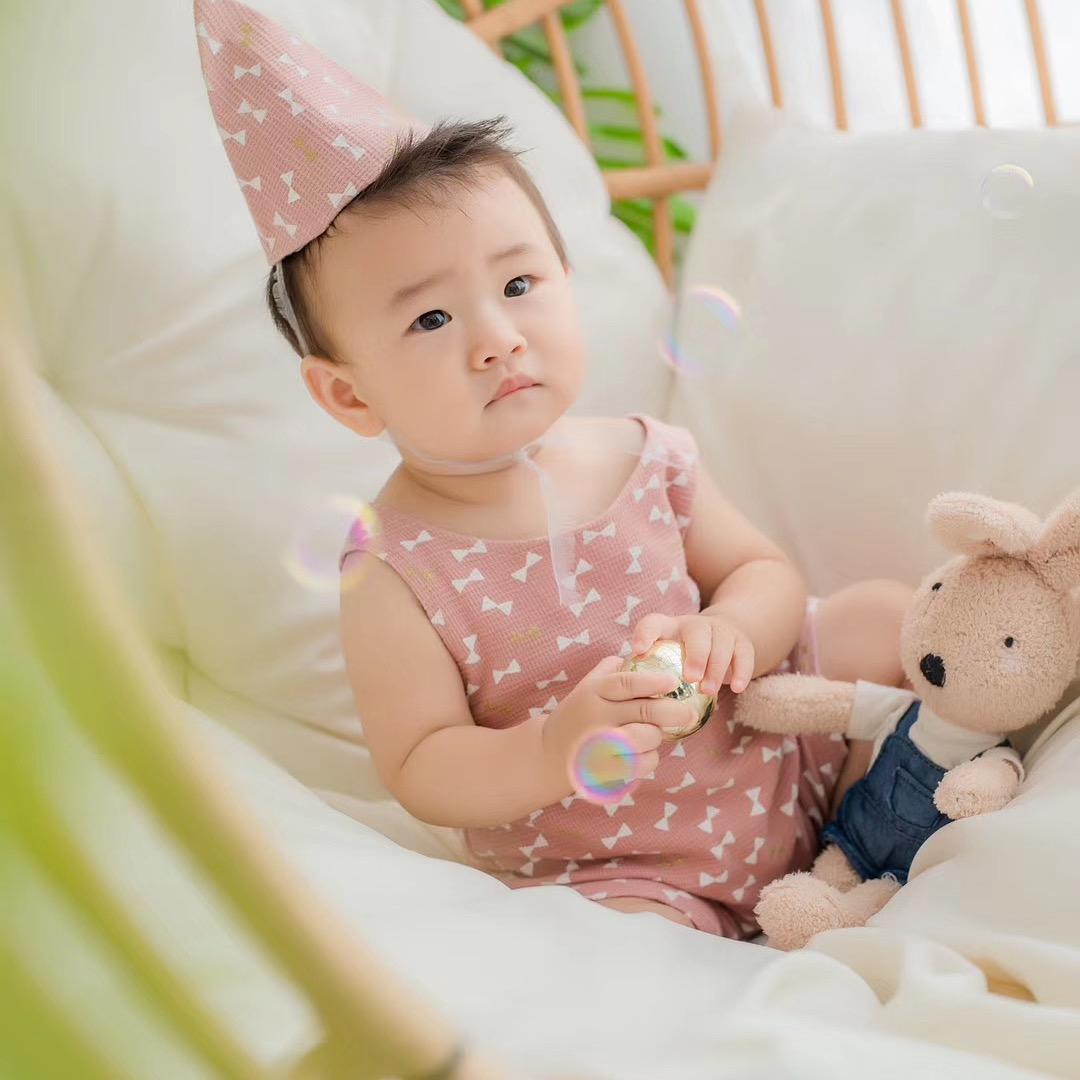 抹茶与橙橙