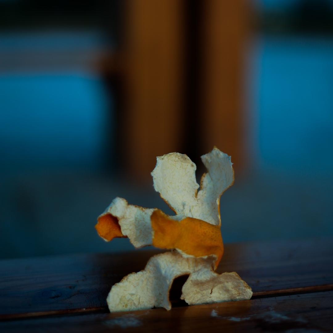 一只努力的羊