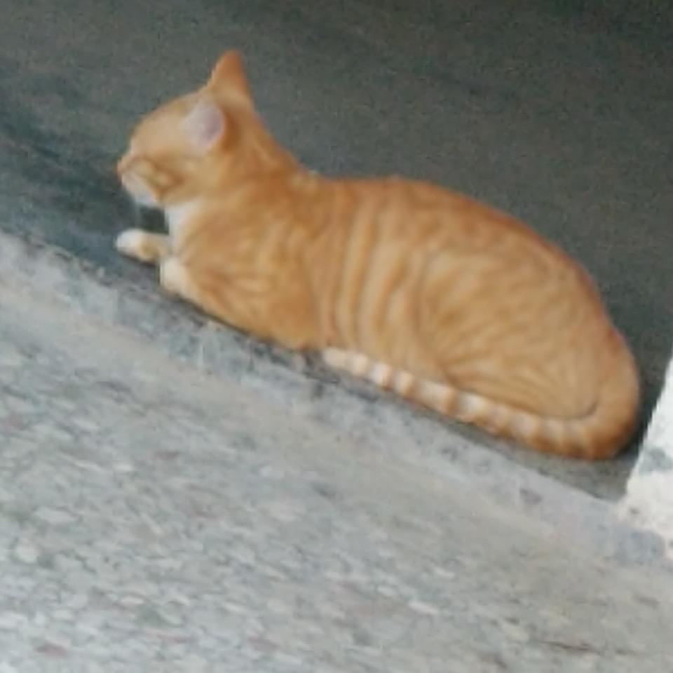 永恒