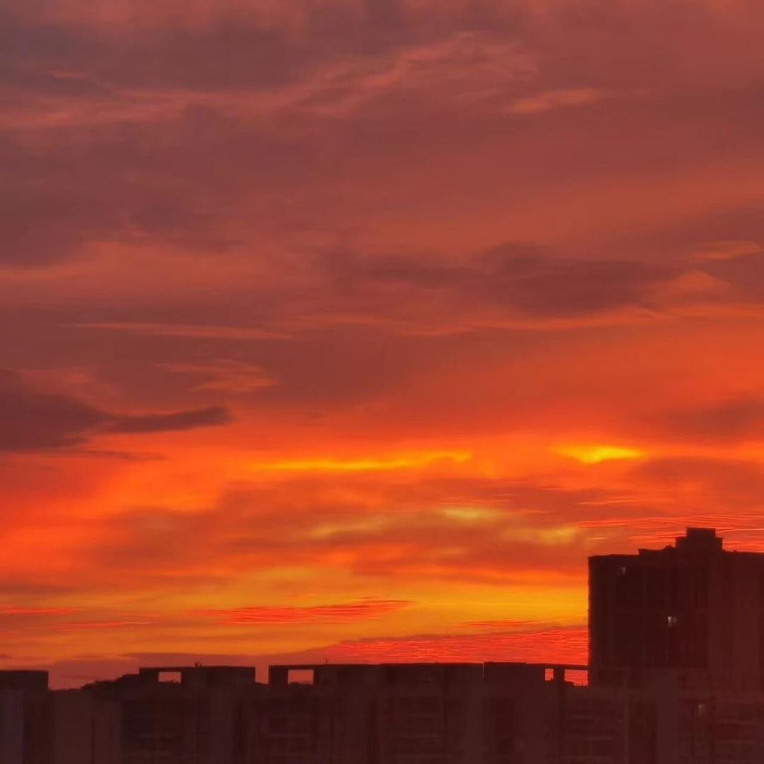 💓非你莫属❤️