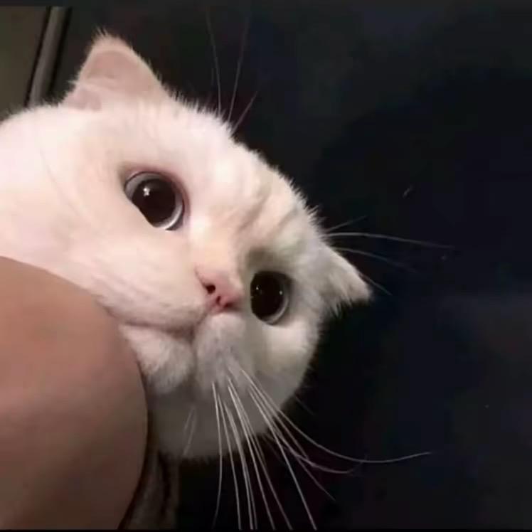幕幕