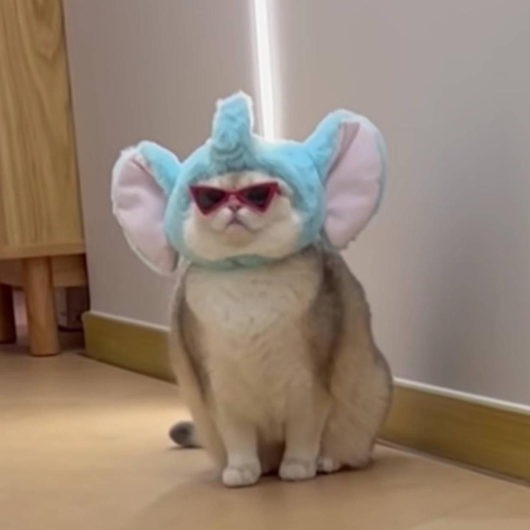 yyuo
