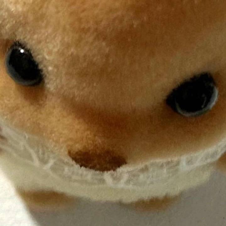 你猜🥣