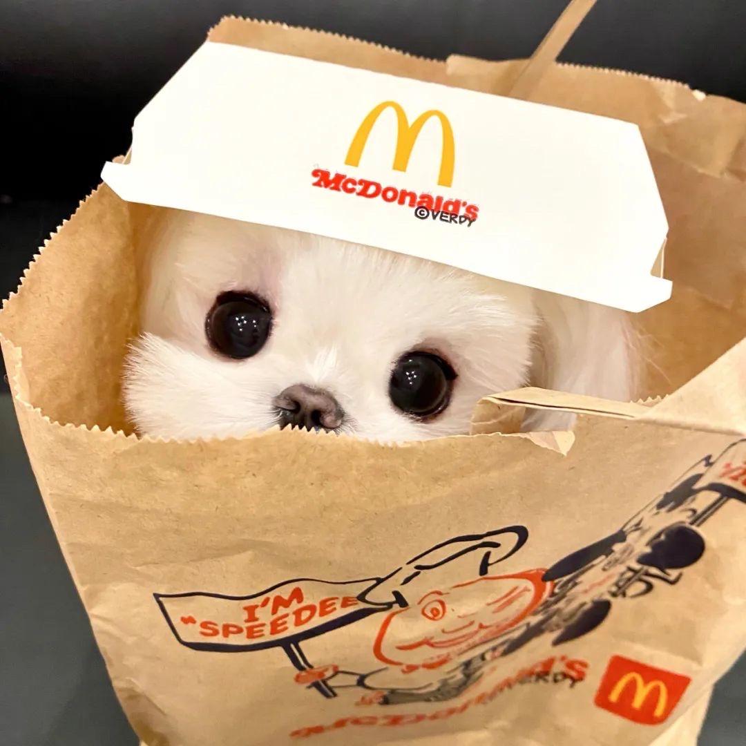 ㄤㄞᒼ