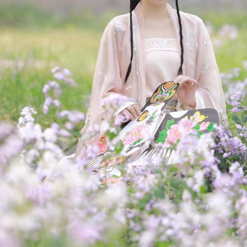 一只柳(我在杭州修美女版