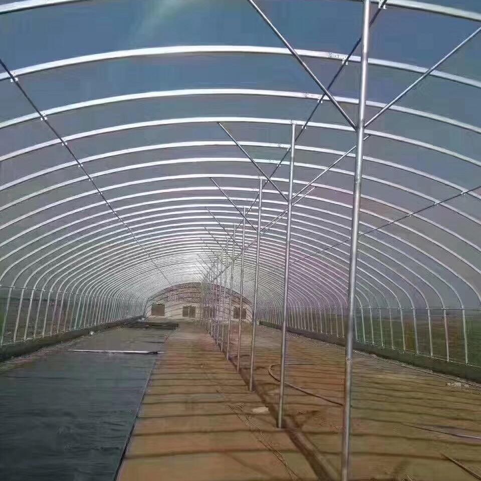 鑫农源农业温室