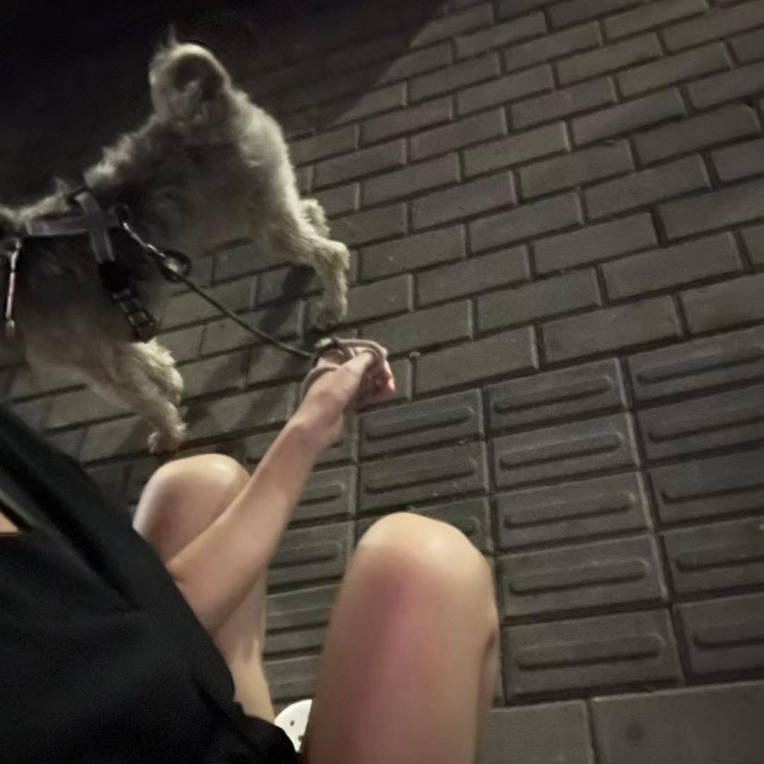 我就一爱看番的