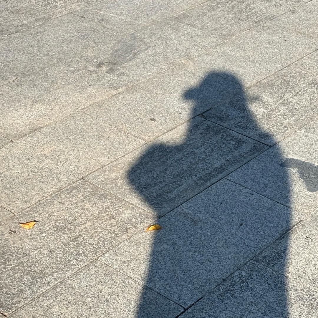 青渝有蓝头像