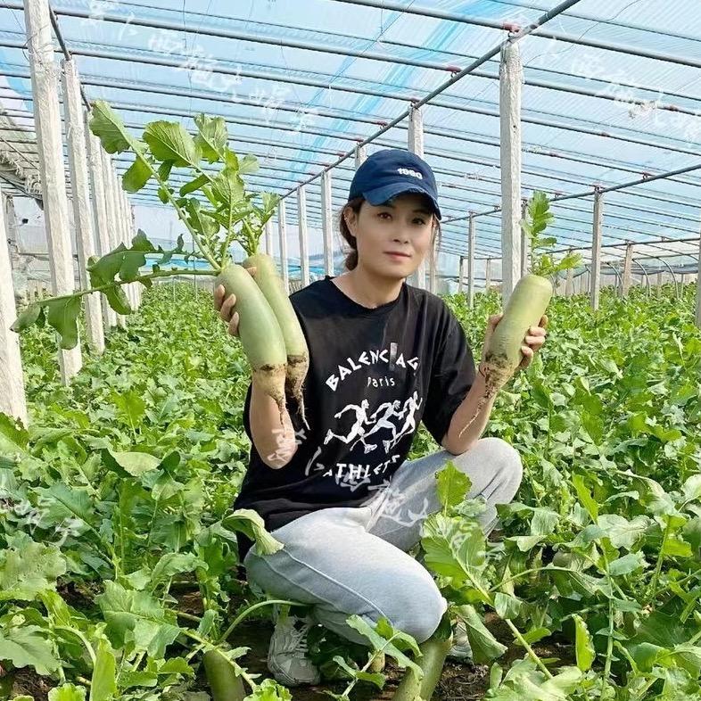 大娟子生鲜严选