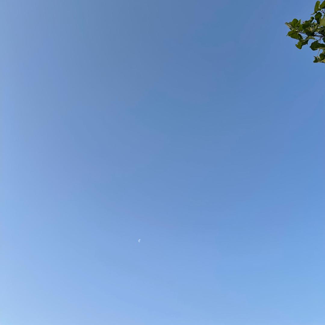 打工哥在淄博