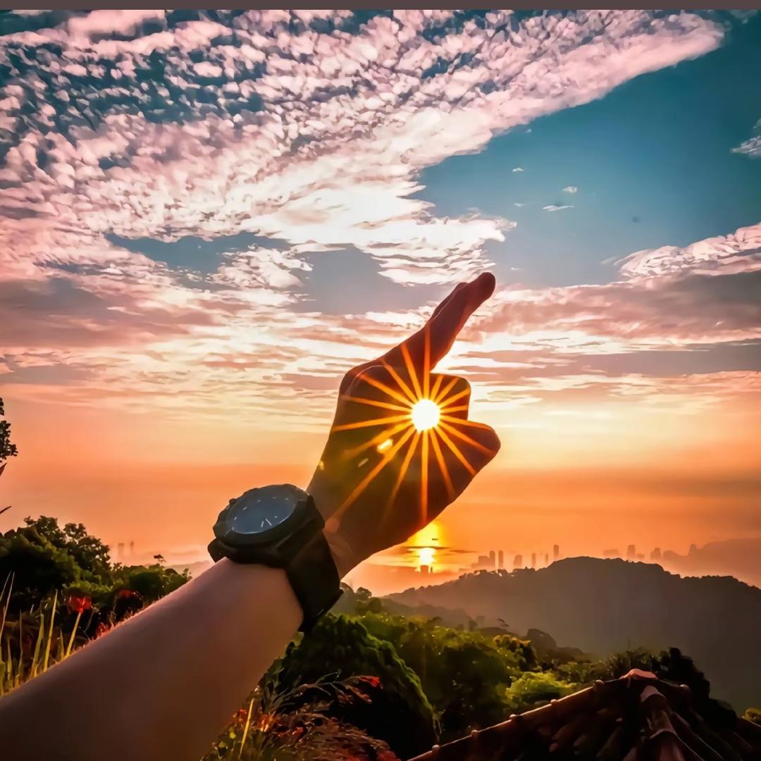 阿盛——道乐电商