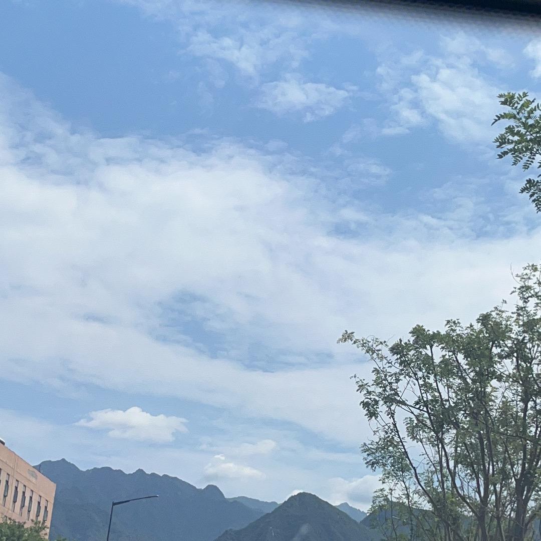 🌞颜🌙王