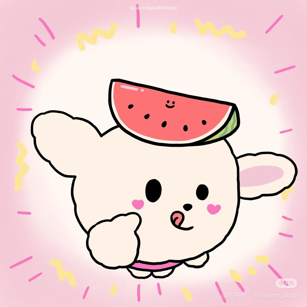 卖西瓜的小女孩🍉
