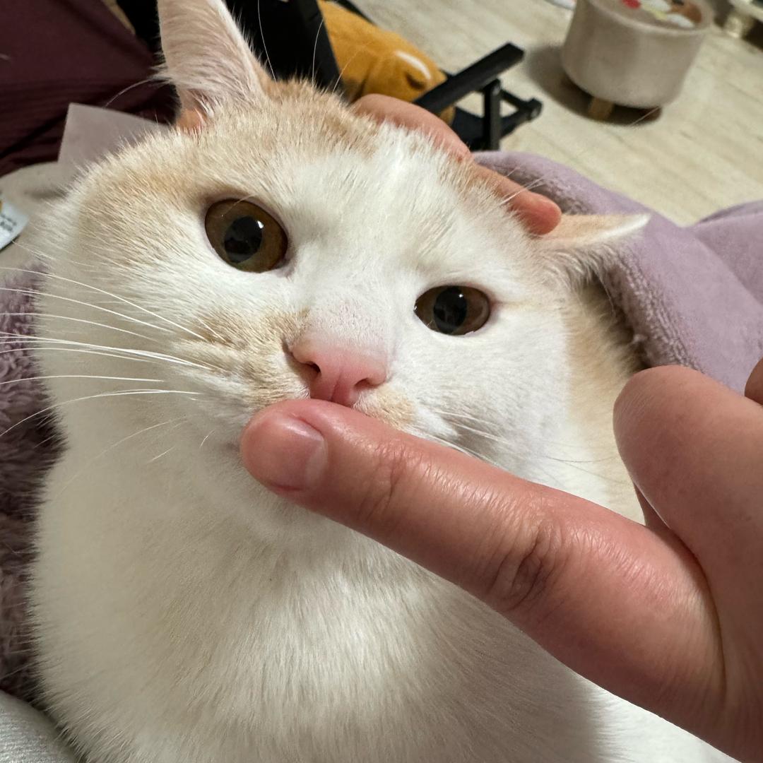 星星想要亮晶晶