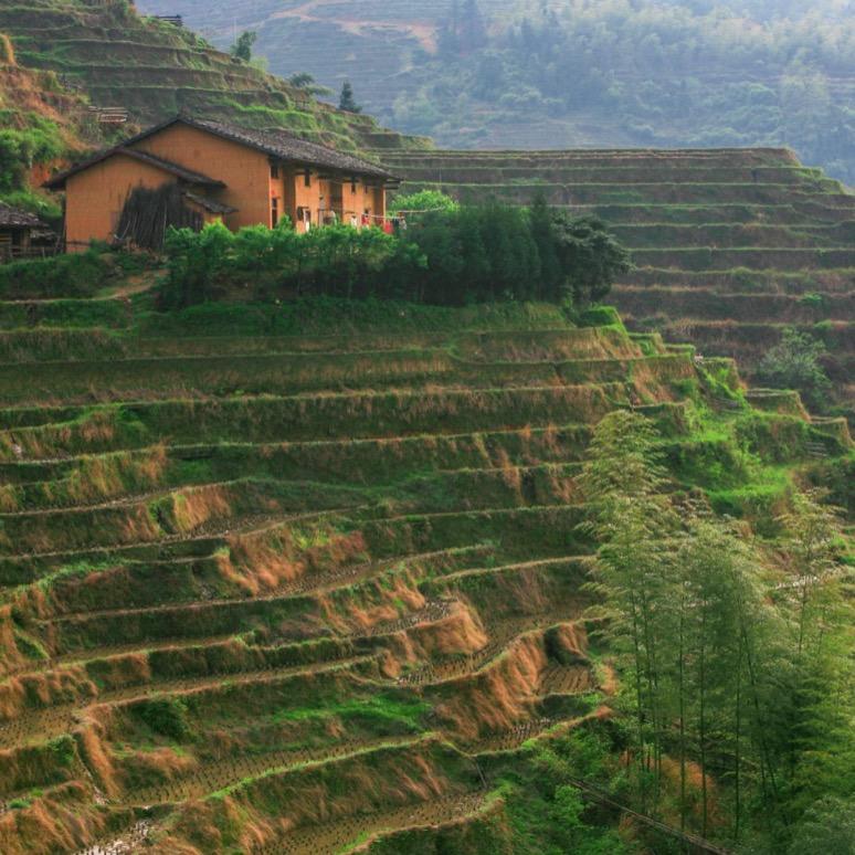 山瑶仔贺州市三荣传媒有限公司粮油专卖店