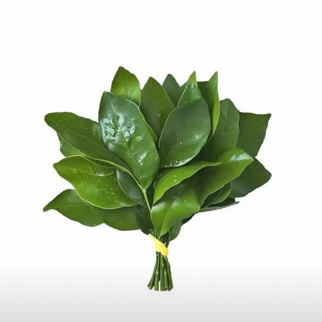 十三.（发疯版）