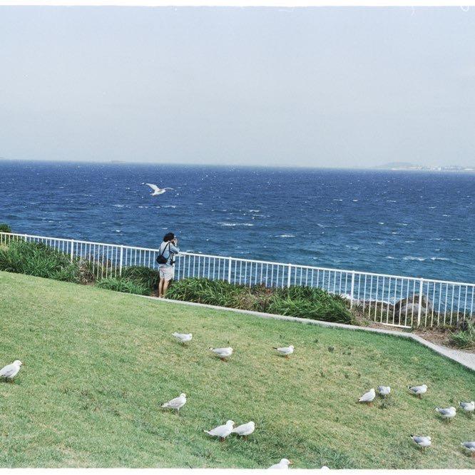 和平星