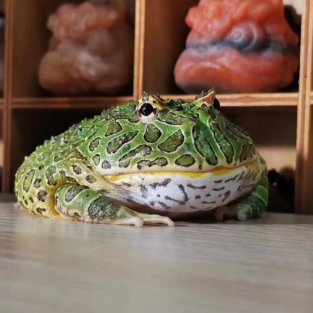 满天纷飞的话语