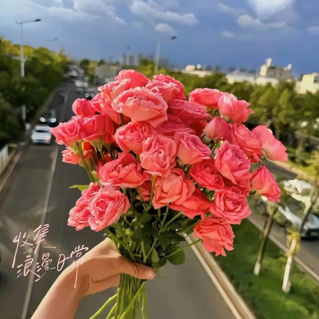 🌈欧^_^阳(收徒教直播）