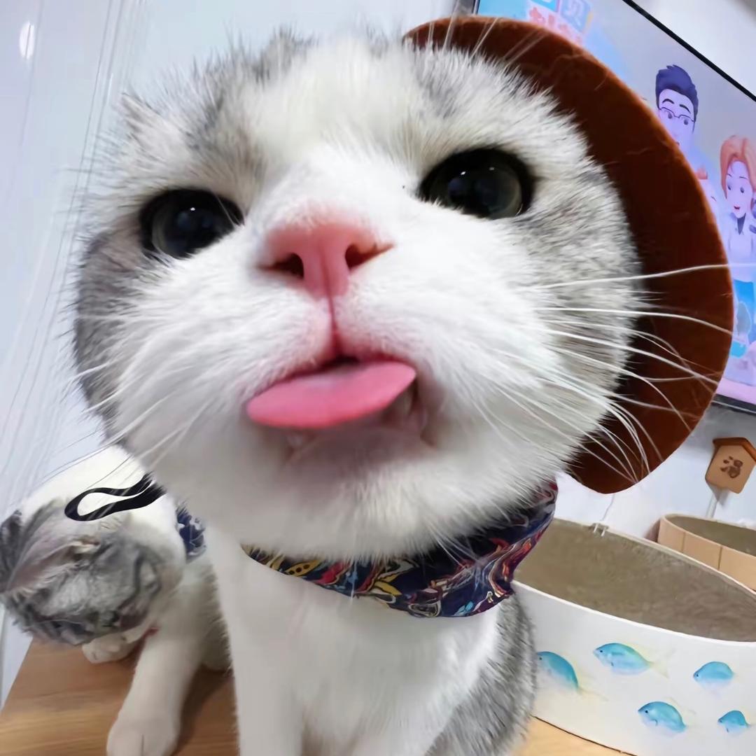 重生之卖小米汽车😏