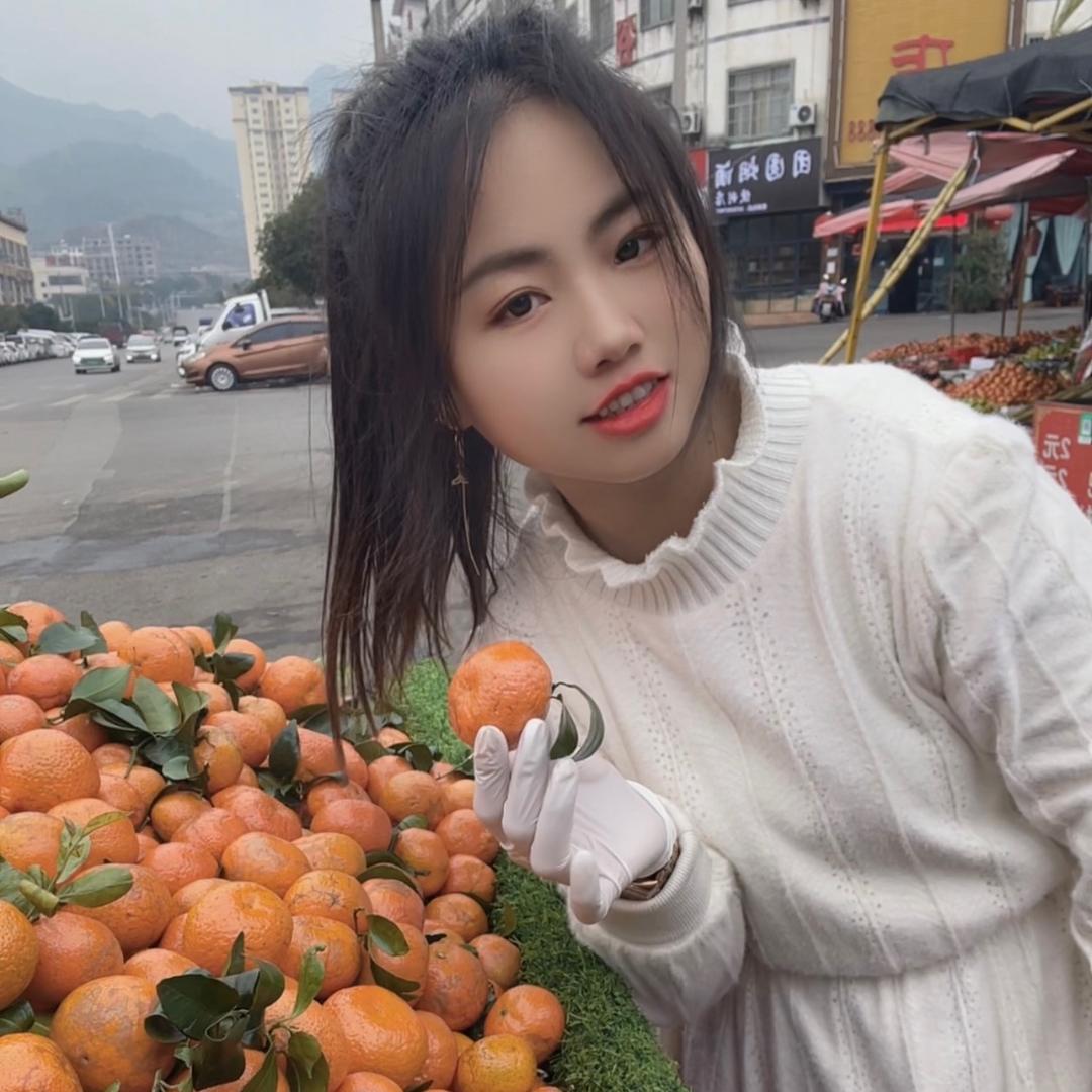 小秦燕