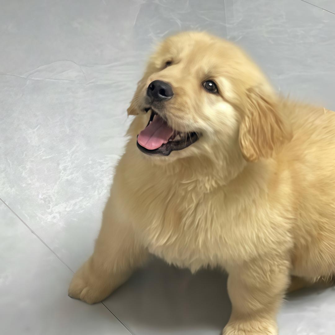 皮蛋成长日记📔