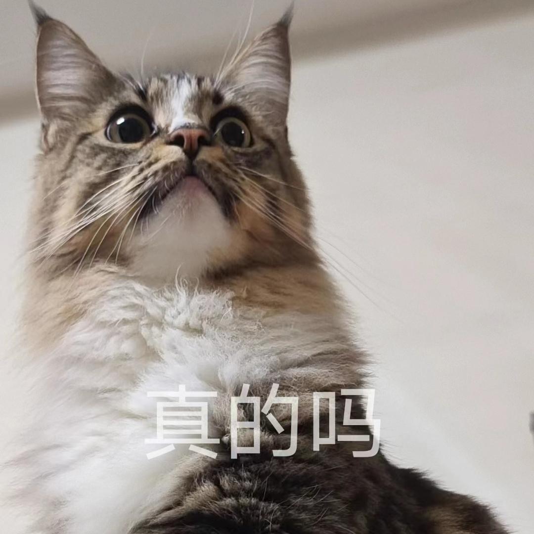 天琦小明