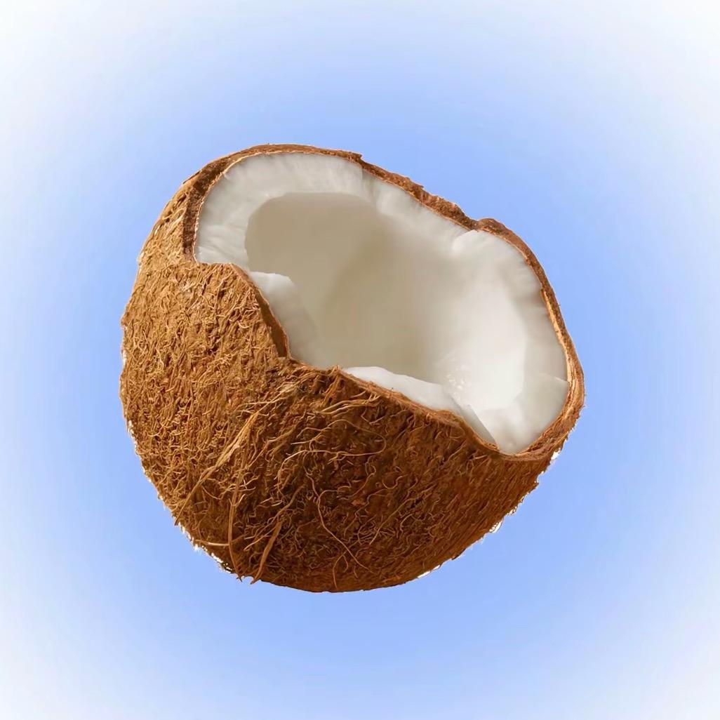 椰子🥥