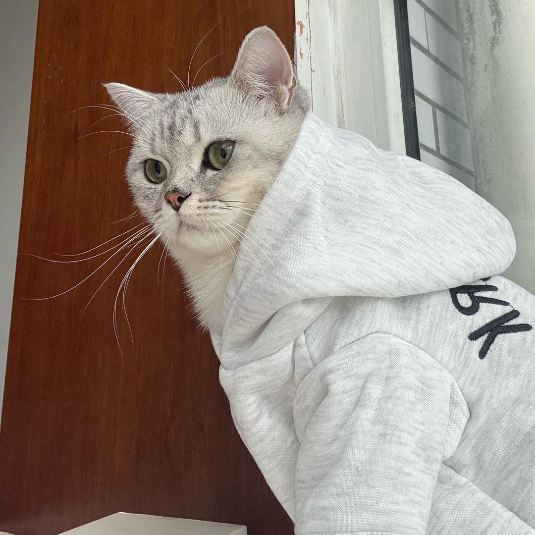 我是百万少爷呀