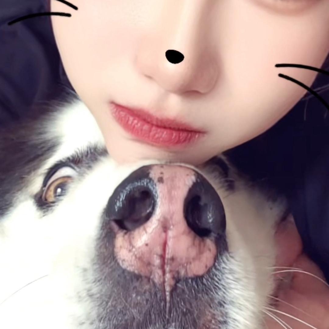 阿拉贝贝🍓