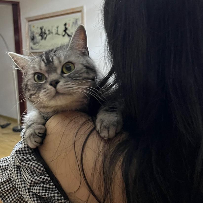 创死全世界冷暴力头像