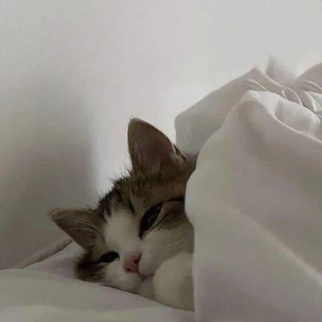 躺住