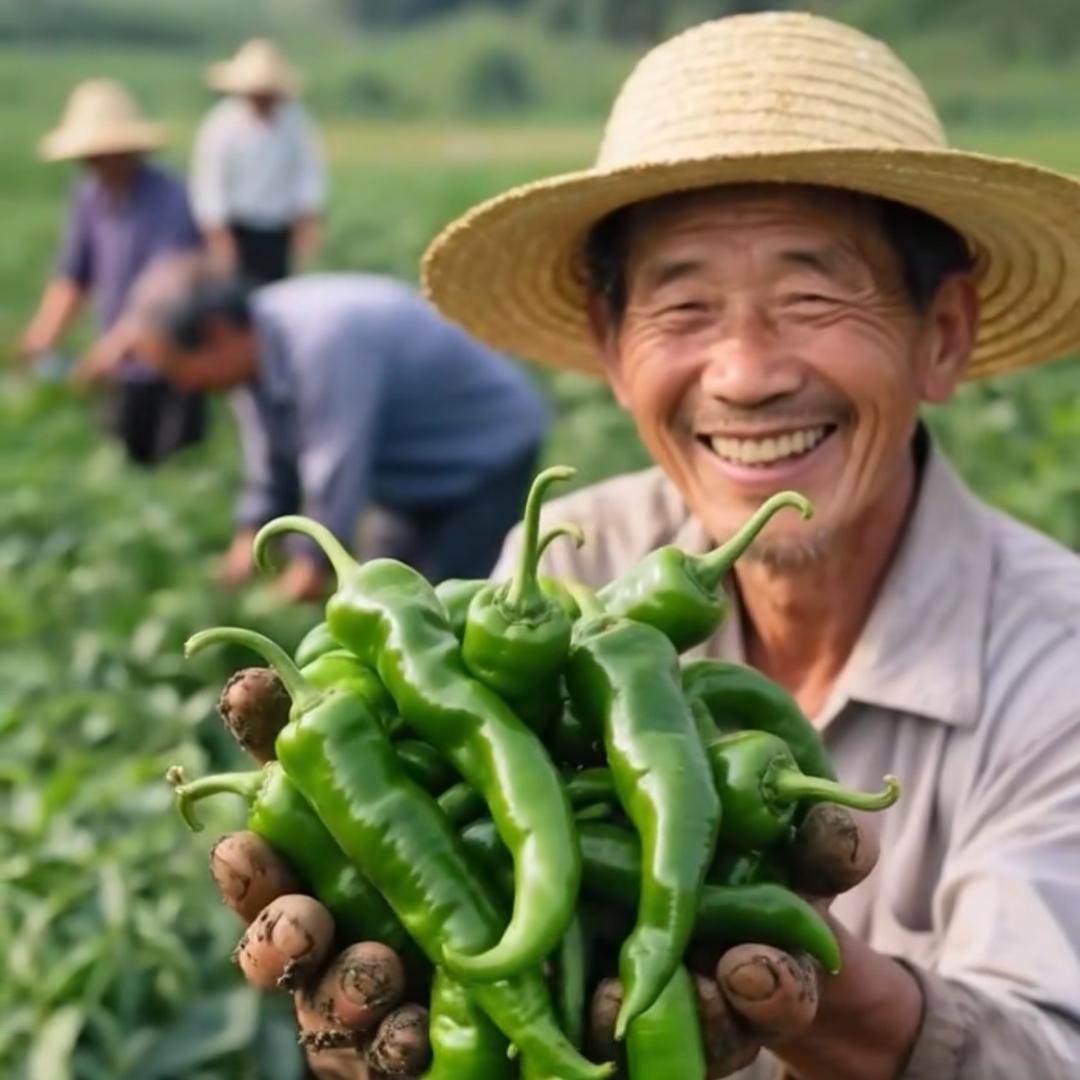农村户口